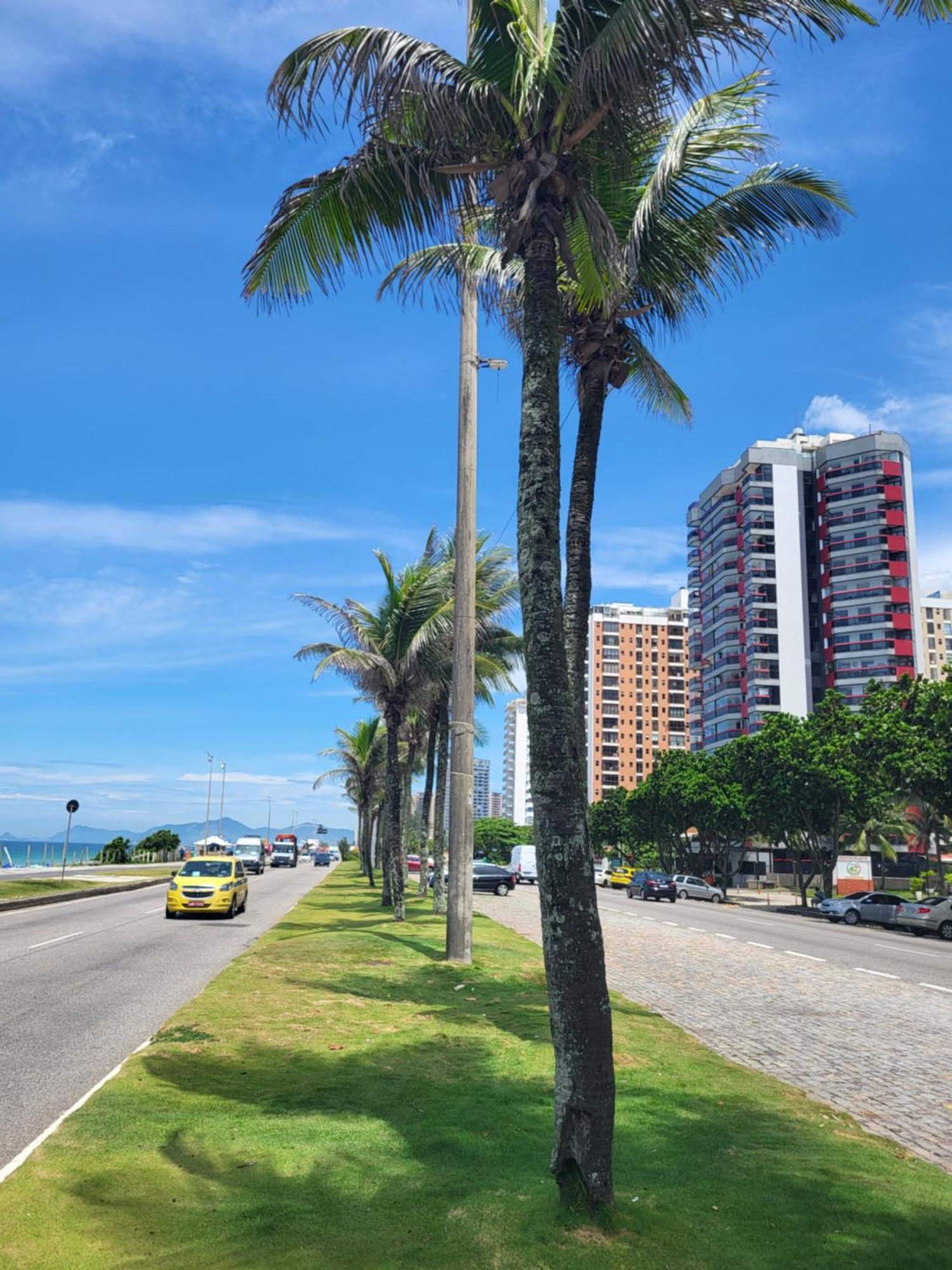 Excelente Apartemen *